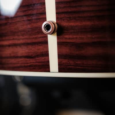 Alvarez Yairi FYM70 Masterworks OM with Baggs HiFi pickup 2026 MINT JAPAN BEAUTY image 21