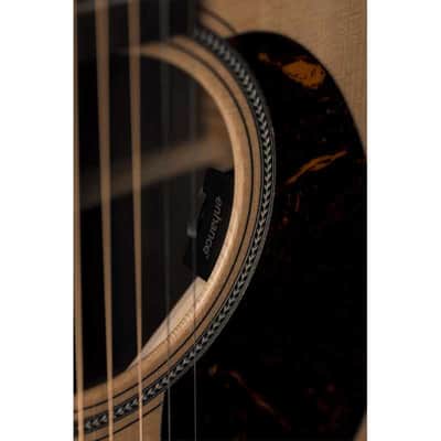 Martin GPC-16E-ROSEWOOD Guitare acoustique GPC-16E Rosewood image 9