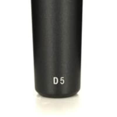 AKG D5 Supercardioid Dynamic Handheld Vocal Microphone image 2