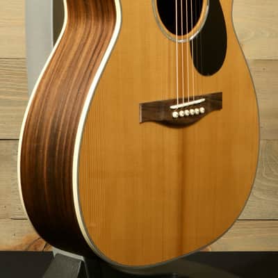 Eastman PCH2-OM image 5