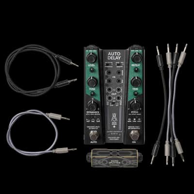 Gamechanger Audio Auto Series Delay Pedal image 10