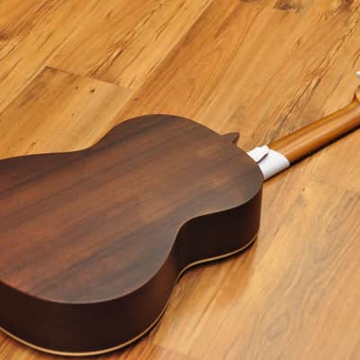 Alhambra 1C Hybrid Terra + softcase image 15