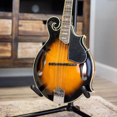 Goldtone GM-35 F-Style Mandolin w/case image 13