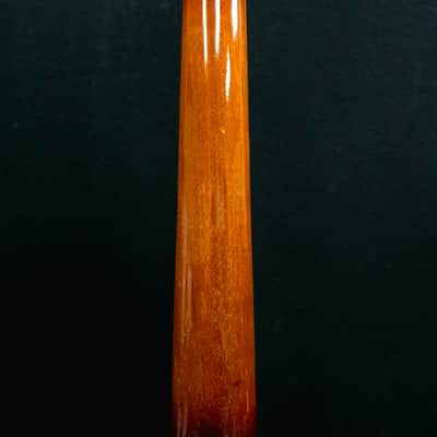 1963 Guild T-100 Hollow Body "Slim Jim" image 12