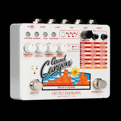 Electro-Harmonix Grand Canyon Delay and Looper Guitar Effect Pedal image 1