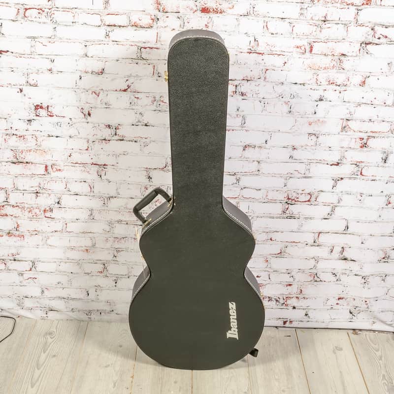 Ibanez - Hollowbody Electric Guitar HSC - USED image 1