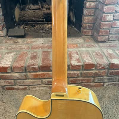 Epiphone Emperor Bild 8