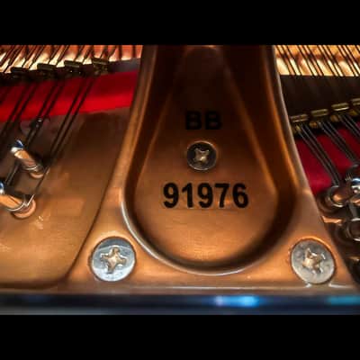 Immagine Majestic Semi-Concert Grand: Mason & Hamlin Model BB - 12
