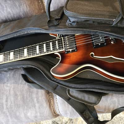 D'Angelico Premier DC Mini 2025 - Brown Burst (+ extras) image 24