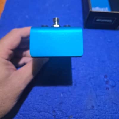 Strymon Cloudburst image 4