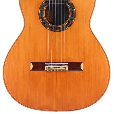 Manuel Ordono 2023 Negra Flamenco Guitar - remarkable instrument with great power and depth - check video! image 2