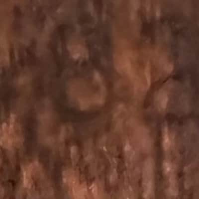 Epiphone FT-45 Cortez 1964 - Natural image 10