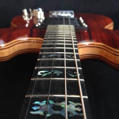 Waldschmidt Guitars - Electric Mandolin - Jerry Garcia, Tiger Guitar style image 17