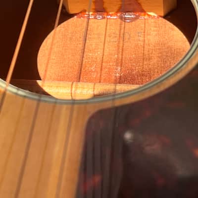 Acoustic Electric Tenor Guitar - Harmony w carrying bag image 14