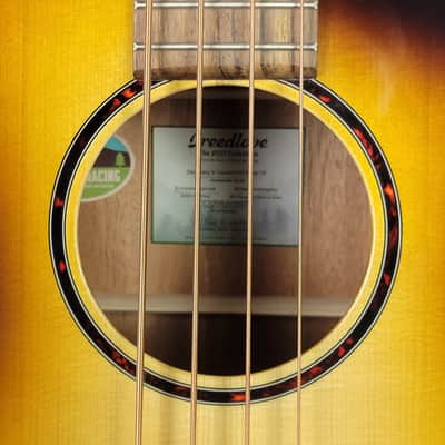 Breedlove Discovery S Concert Bass CE - Edgeburst, B-Stock Free Shipping image 9