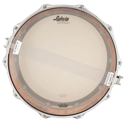 Ludwig Bronze Phonic LB552R 14" x 6,5" Raw Bronze image 3
