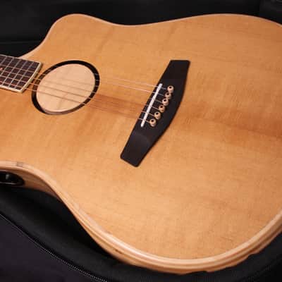 LR Baggs Torrified Spruce Top AE-1 2024 - Natural image 1