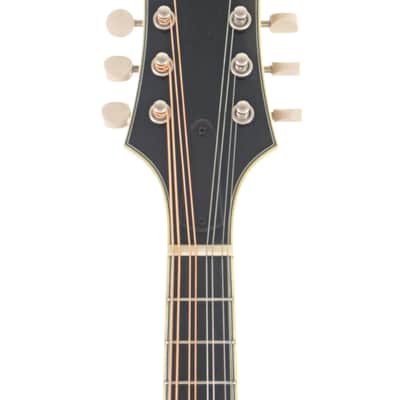 Bourgeois M5-A Mandolin #M0623106 image 5