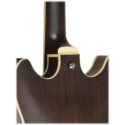 Ibanez Artcore AS53-TKF 6-String Semi-Hollow Body Electric Guitar with Walnut Fretboard, Right-Handed, Transparent Black Flat image 7