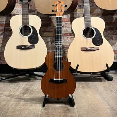Twisted Wood EM600C with Pickup image 4