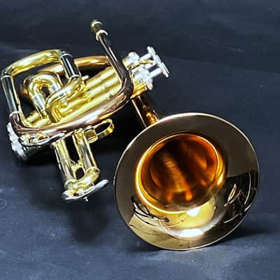 SCHILLER Shepards Crook Pro Elite Cornet in Brushed Rose 2019 image 19