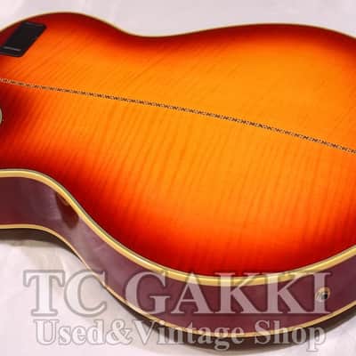 Greco CSF 90 image 7