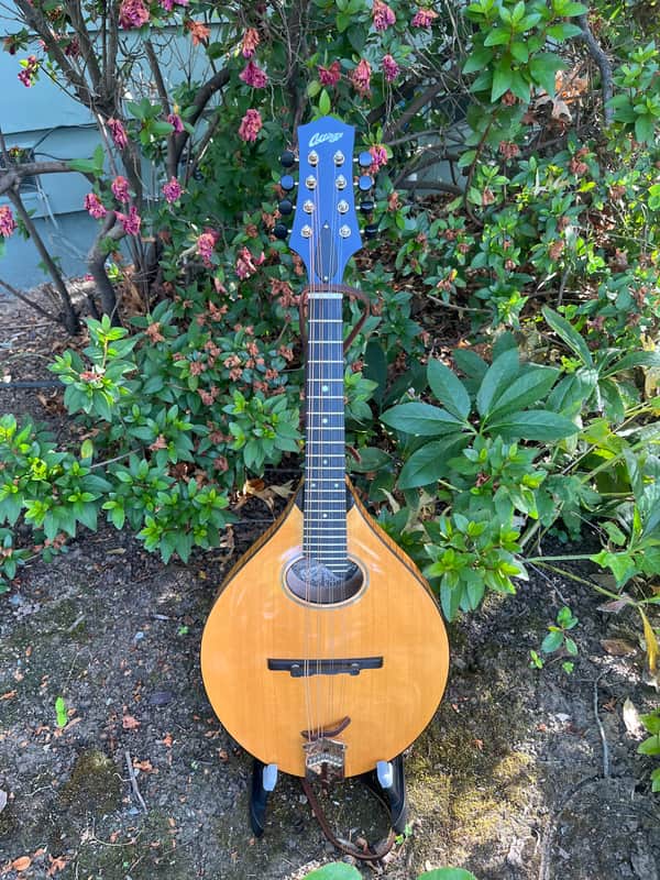 Collings MTO