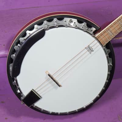 2020s Koda (McNeela) Resonator Tenor Banjo (VIDEO! Fresh Work, Ready) image 2