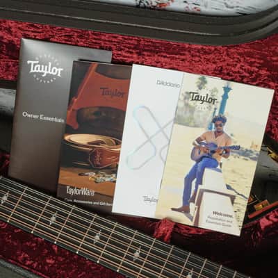 Taylor - 354ce - 12 String Acoustic-Electric Guitar -Sapele/Sitka - V-Class Bracing - Natural - with  Hardshell Case - x5043 (354ce-3) image 12