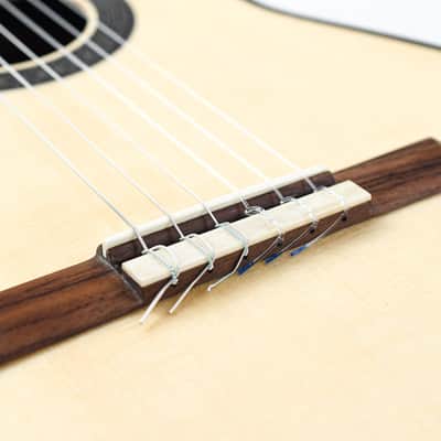 Cordoba Master Series Torres 2020 image 7
