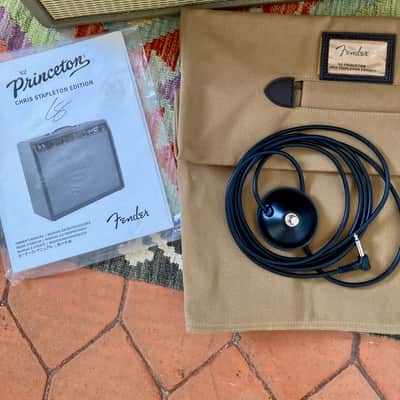 Fender Chris Stapleton Signature '62 Princeton 1x12" 12-Watt Guitar Combo 2019 - Present - Brown Vinyl with Wheat Grille Cloth image 10