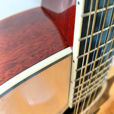 Eastman AC330E-12 - Natural image 7