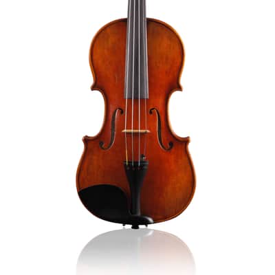 Fire Phoenix Strings FA500-16” Viola image 1