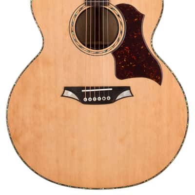 Bromo BAN 7E Jumbo Acoustic Electric w/Stand image 3