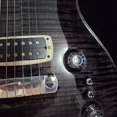 PRS Paul's Guitar 2021 - Charcoal Wrap image 10