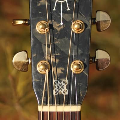 Alvarez Yairi Dy98 Modulus Graphite neck image 1