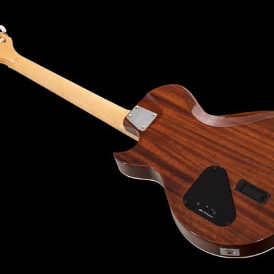 ESP Eclipse Semi-Acoustic Nylon - See Thru Black - Custom Shop image 9