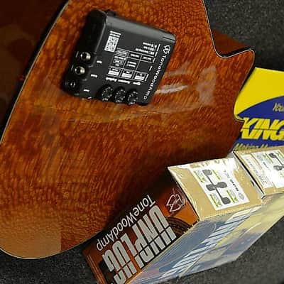 HONZ Tech ToneWood Amp for Acoustic Guitar image 24