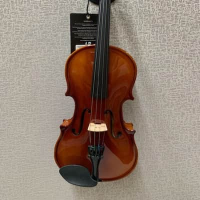 Stagg Model VN-1/8 - 1/8 Size Solid Maple Violin with case, bow and accessories image 7