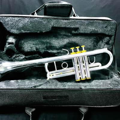 Schiller Frankfurt Elite Custom C Trumpet 2020 - SILVER PLATED image 21