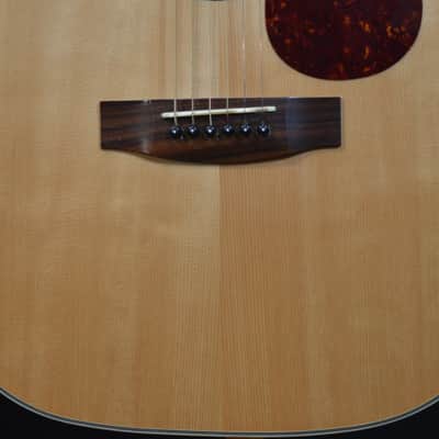 Zager ZAD-50 Dreadnought - Spruce/Mahogany w/ OHSC image 2