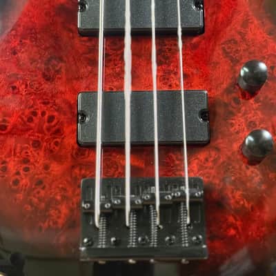 ESP LTD B-204DX 4-String Electric Bass Guitar - Red Burst image 7