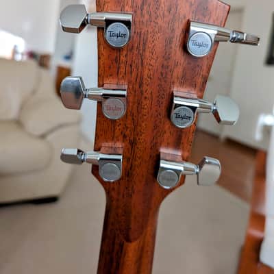 Taylor 320e-Baritone SLTD Spring Limited Edition 2014 image 10