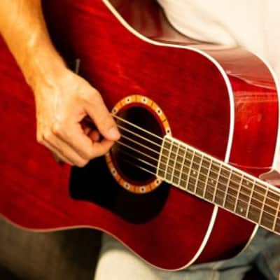 Washburn WD100DL Dreadnought Mahogany Acoustic Guitar w/ Gigbag (WD100DLTWRK-A-U) image 5