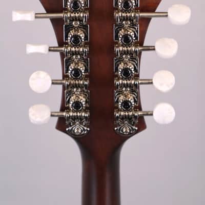 Eastman MD315 F-Style, F-hole Mandolin: Solid Sitka Top, Solid Maple back and sides. image 14