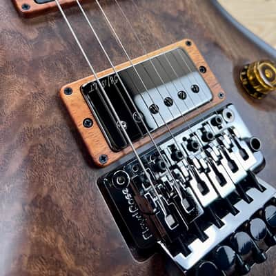 PRS Private Stock  Custom 24 Floyd Birds of a Feather NEW! PS #10796 image 5