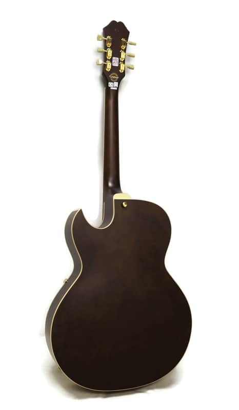 Epiphone ES-295 Premium Limited Edition Hollowbody Electric Guitar