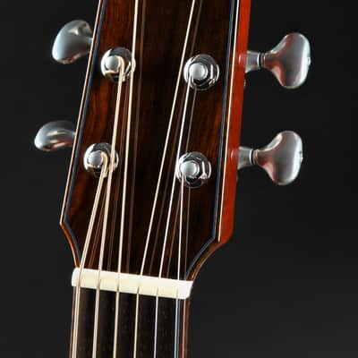 ON HOLD - Santa Cruz FS (Fingerstyle) MC Custom image 6