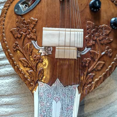 No Brand Electric Sitar, Ravi shankar style image 4