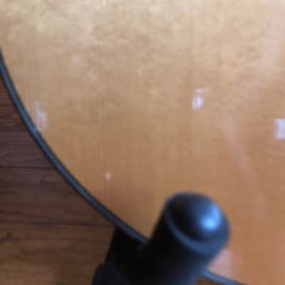 Larrivee Ls-19 Gloss image 6